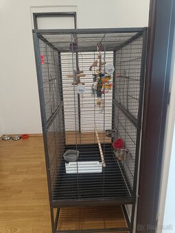 Klietka pre vtákov - 2
