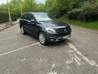 Mercedes Benz ML 220cdi 4matic - 2