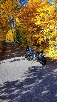 Yamaha mt 07 2014 - 2