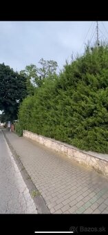 Záhradnícke práce – údržba, kosenie, čistenie, okrasné záhon - 2