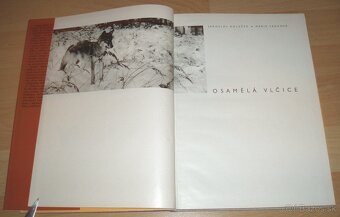 Osamělá vlčice - 2