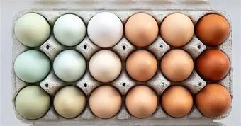 Nasadové Vajcia - 2