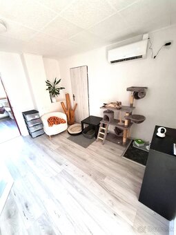 Hotel pre mačky - 2