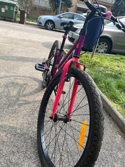 Detský bicykel Galaxy Ruby - 2