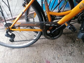 Dámsky bicykel - 2