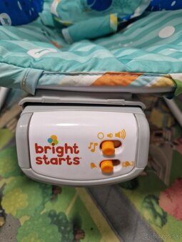 Hojdacie kresielko BRIGHT STARS - 2