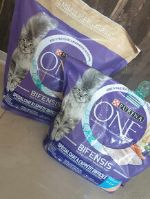 granule Purina One - 2