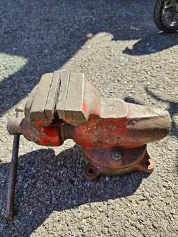 Predam zverak York 100 - 2