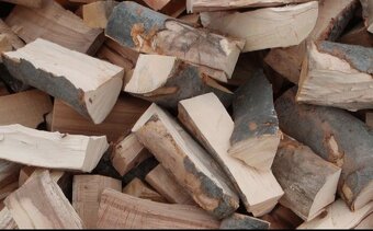 Palivové drevo - 2