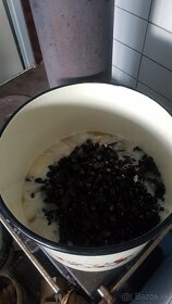 Nova mastička na kosti. - 2