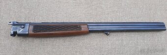 Guľobroková kozlica ZH - 2