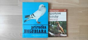 Holub, holuby, poštový holub - 2