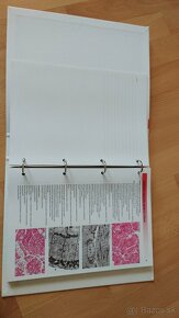 Histologie - 2
