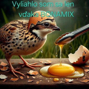 Zdrave BIO krmiva pre prepelice - 2