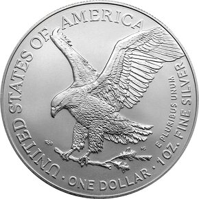 Strieborná investičná minca American Eagle 1 Oz 2019 - 2