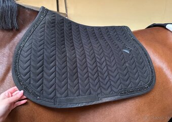 kentucky a equiline plstenky - 2