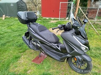 Honda Forza 125 - 2