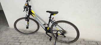 CTM bicykel bora 1.0 - 2