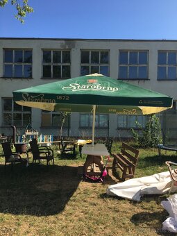 Slnečník veľký - 2