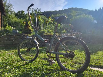 Sobi 20 - 2
