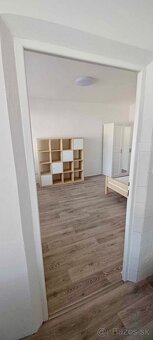 1-izbovy byt centrum - 2