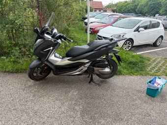 Honda Forza 300 - 2
