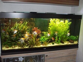 Predam akvarium kompletne s prislušenstvom bez ryb - 2