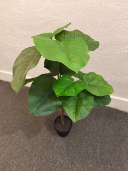 Umelá rastlina 70cm - 2
