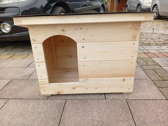 Búda pre psa - 2