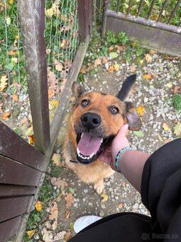 Darujeme fenku ❤️ - 2