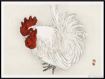 (P) sliepky bantamky liliputky ayam serama japonka chabo - 2