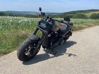 HARLEY DAVIDSON fatbob 114 SOFTAIL - 2