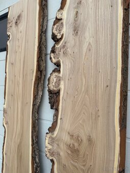 Očkový brest-na stôl - 2