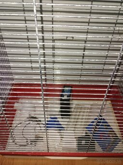 Klietka pre vtáky - 2