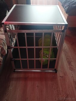 Klietka pre panov - 2