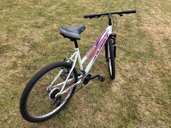 Olpran Bomber 26” - 2