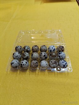 Prepeličie vajcia - 2