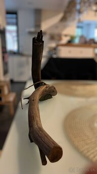 Koreň do akvária - 2