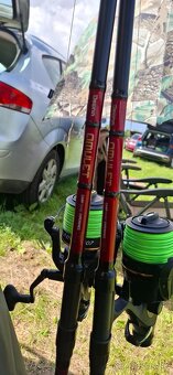 Delphin Amulet 3.60 3lb - 2