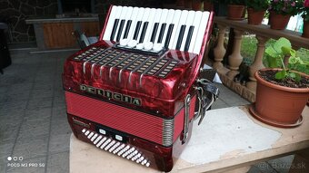 Harmonika -Akordeon.Delícia Junior 72basová. - 2