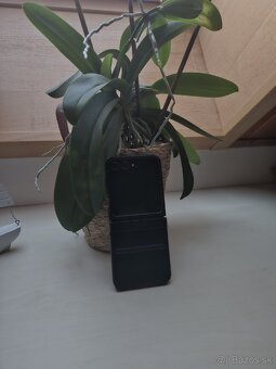 Samsung galaxy z flip 5 - 2