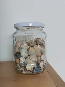 Dekoračné mušle - 2