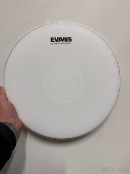 EVANS 14” - 2