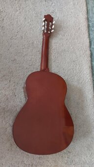 Predam gitaru - 2