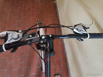 Damsky bicykel - 2
