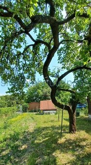 Stavebná parcela – pozemok 406 m2 Valaliky pri Košiciach - 2