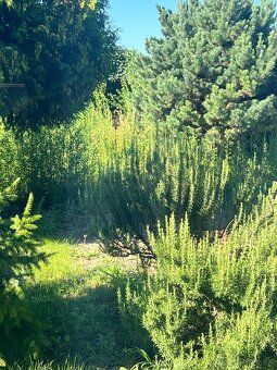 prenajom pozemku - 2