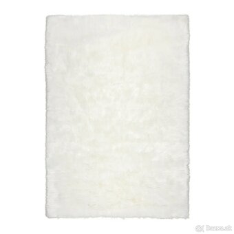 Nádherný koberec - 2