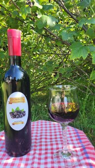 Domace vino z ciernych ribezli - 2