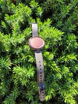 Garmin Lily Classic - 2